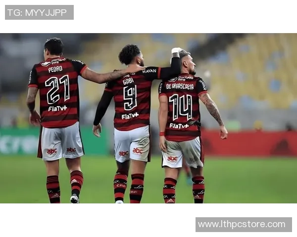 弗鲁米嫩赛与博塔弗戈的激烈对决展现巴西足球的魅力与激情